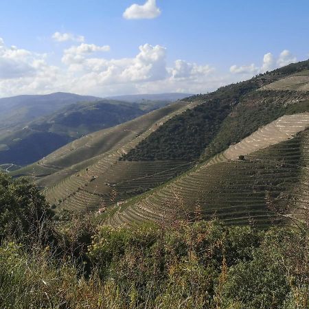 Douro Valley - Casa Da Praca Ervedosa do Douro Kültér fotó