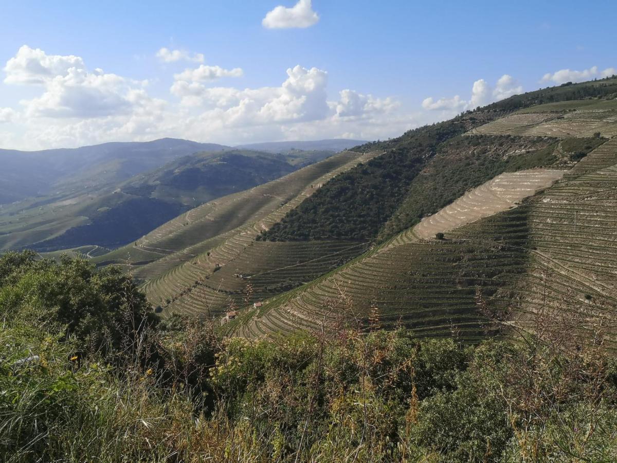 Douro Valley - Casa Da Praca Ervedosa do Douro Kültér fotó