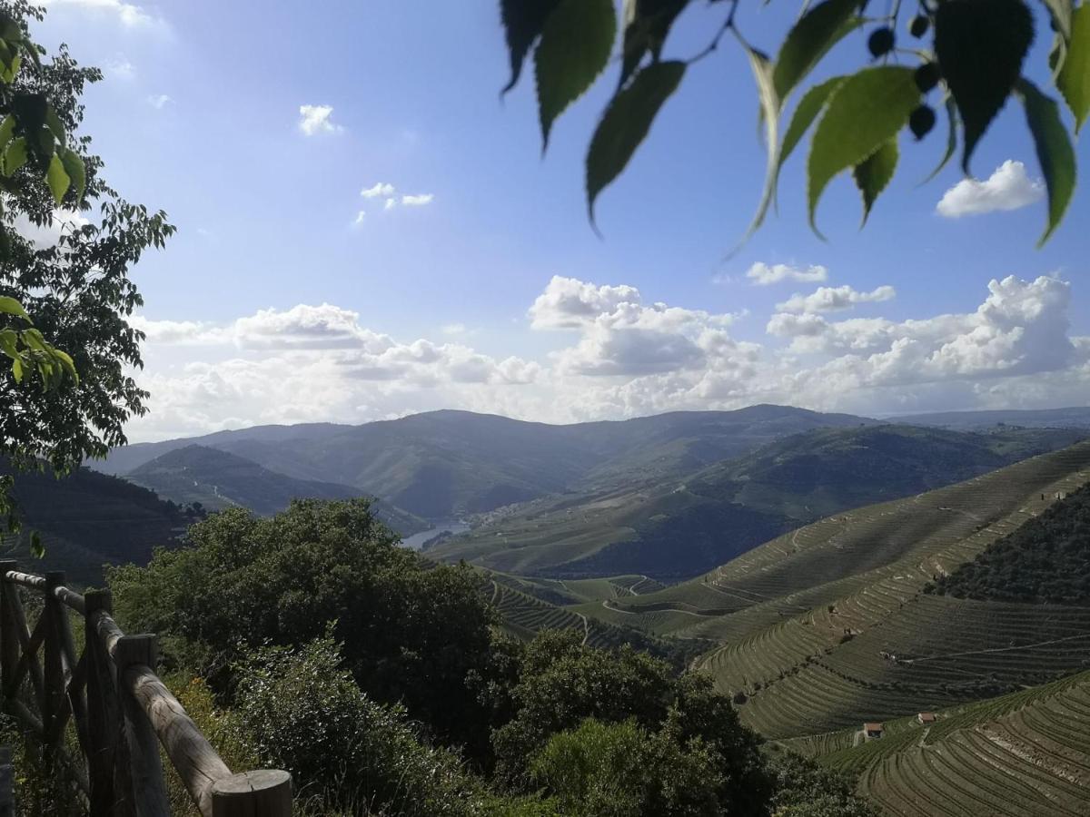 Douro Valley - Casa Da Praca Ervedosa do Douro Kültér fotó